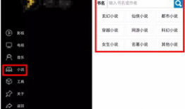 91看电视APP查看直播源地址,尽享精彩直播盛宴